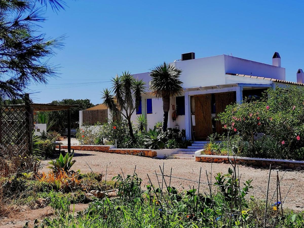 Vila Ca N'Antonia Formentera San Francisco Javier Exteriér fotografie