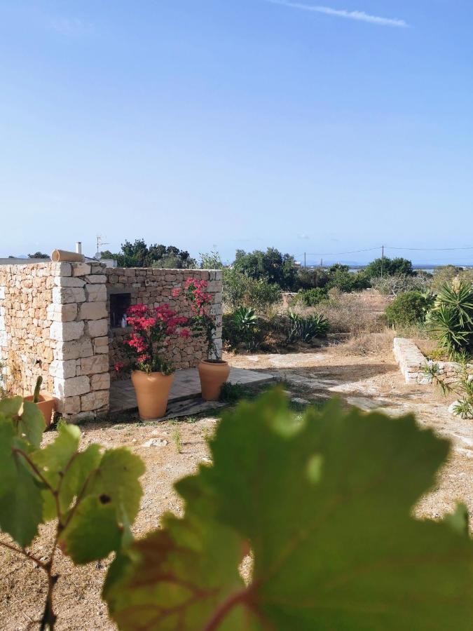 Vila Ca N'Antonia Formentera San Francisco Javier Exteriér fotografie